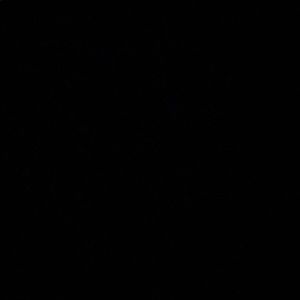 Meet your Posher, Abigail